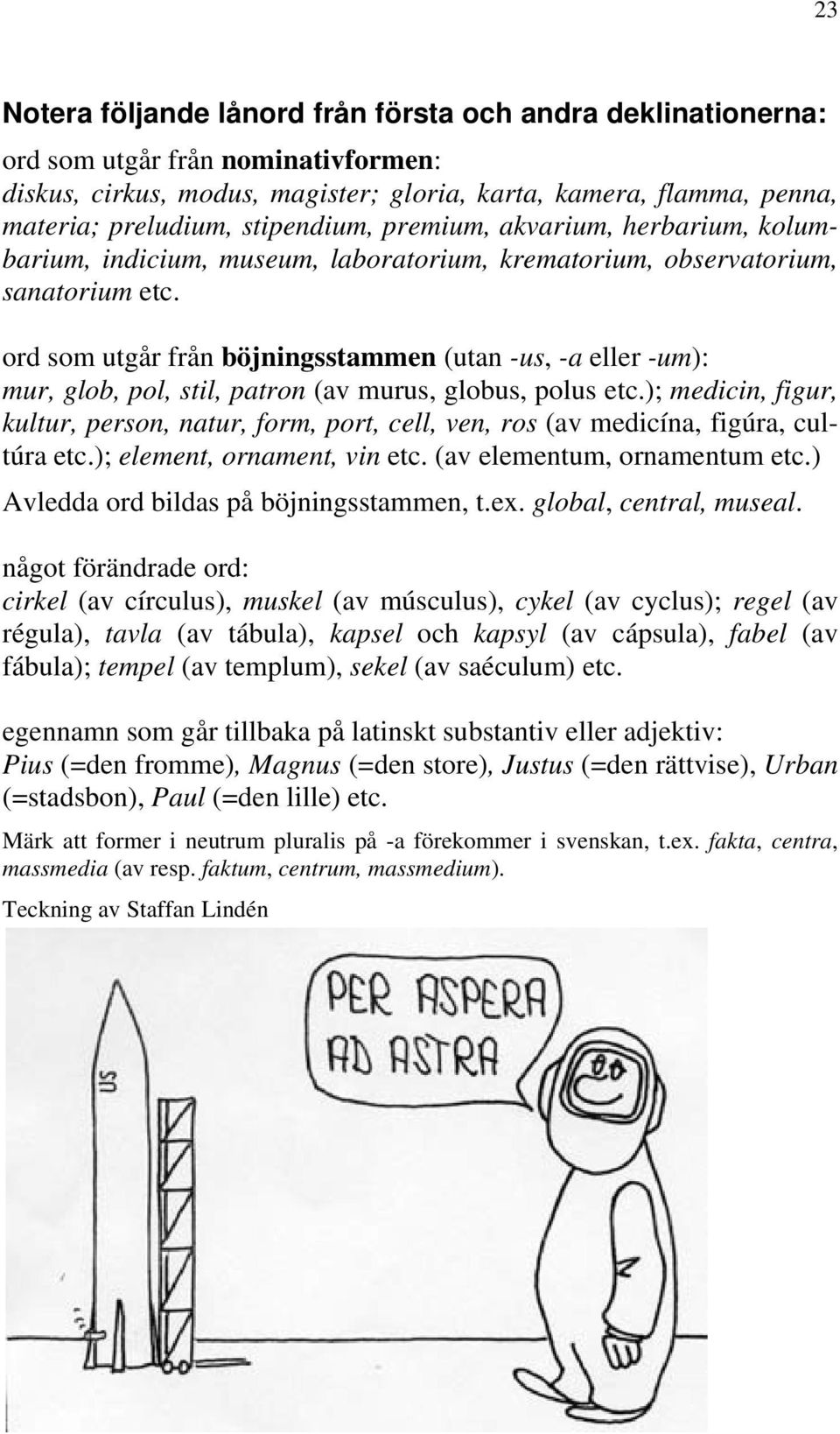 ord som utgår från böjningsstammen (utan -us, -a eller -um): mur, glob, pol, stil, patron (av murus, globus, polus etc.