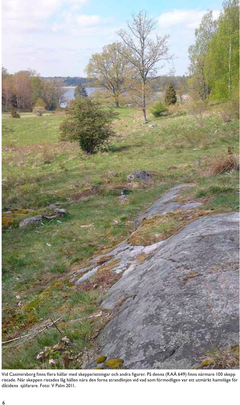 När skeppen ristades låg hällen nära den forna strandlinjen vid vad