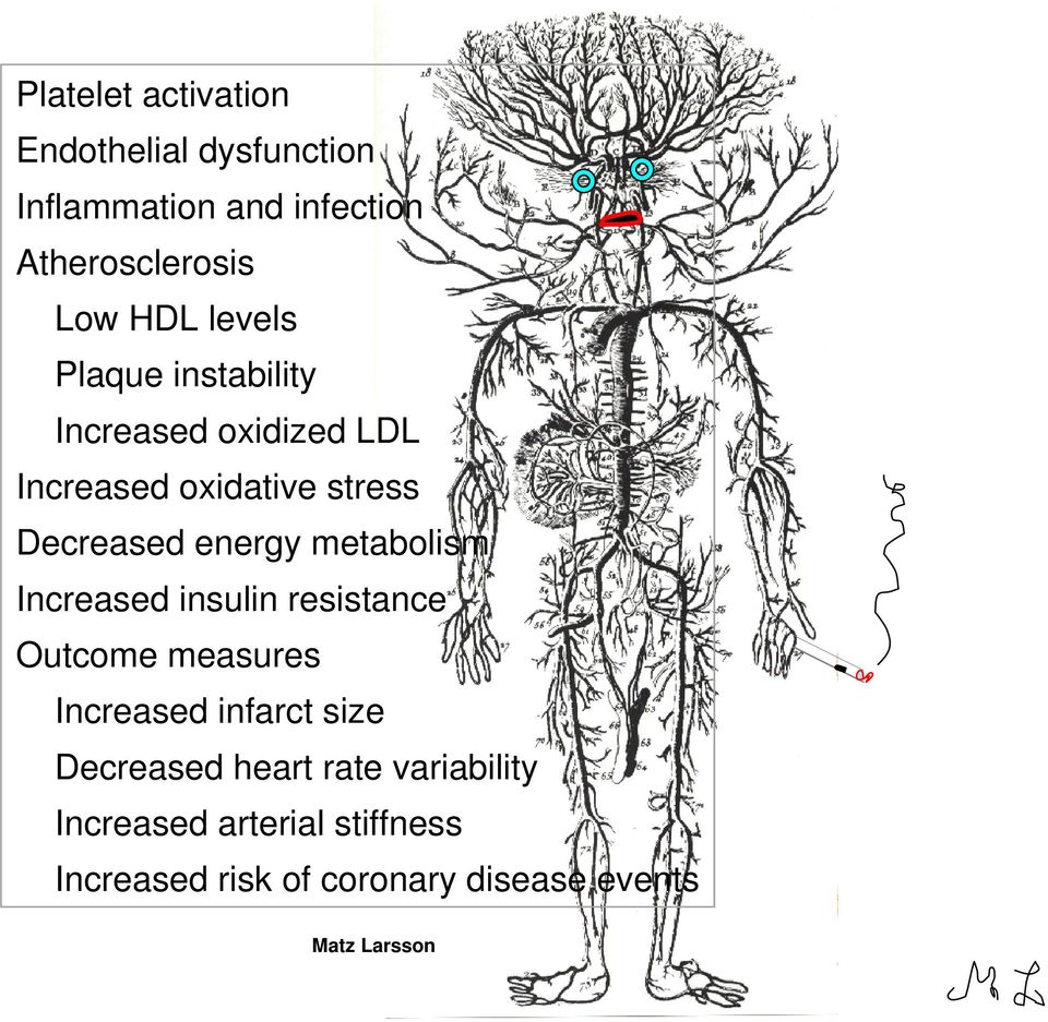 energy metabolism Increased insulin resistance Outcome measures Increased infarct size