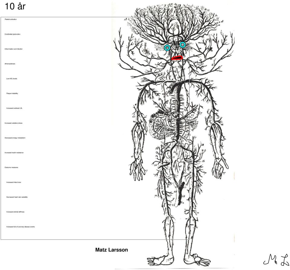 energy metabolism Increased insulin resistance Outcome measures Increased infarct size