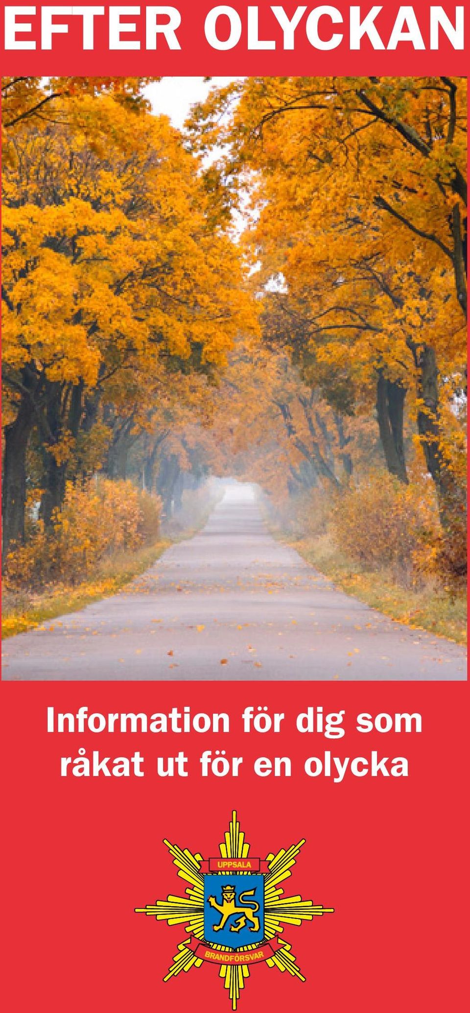 för dig som