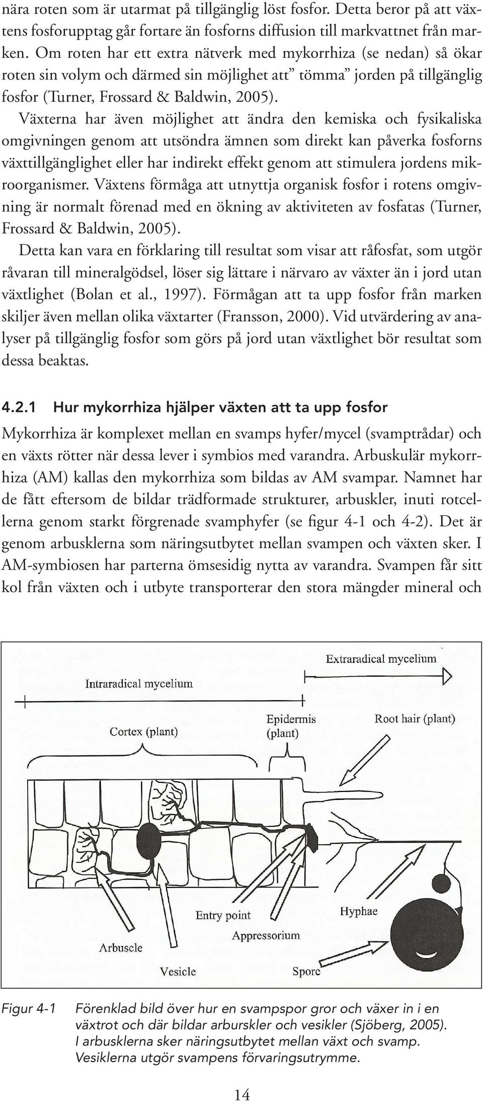 Växterna har även möjlighet att ändra den kemiska och fysikaliska omgivningen genom att utsöndra ämnen som direkt kan påverka fosforns växttillgänglighet eller har indirekt effekt genom att stimulera