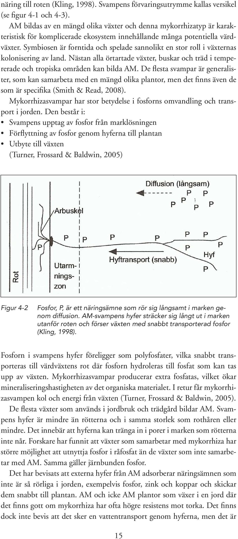 Symbiosen är forntida och spelade sannolikt en stor roll i växternas kolonisering av land. Nästan alla örtartade växter, buskar och träd i tempererade och tropiska områden kan bilda AM.