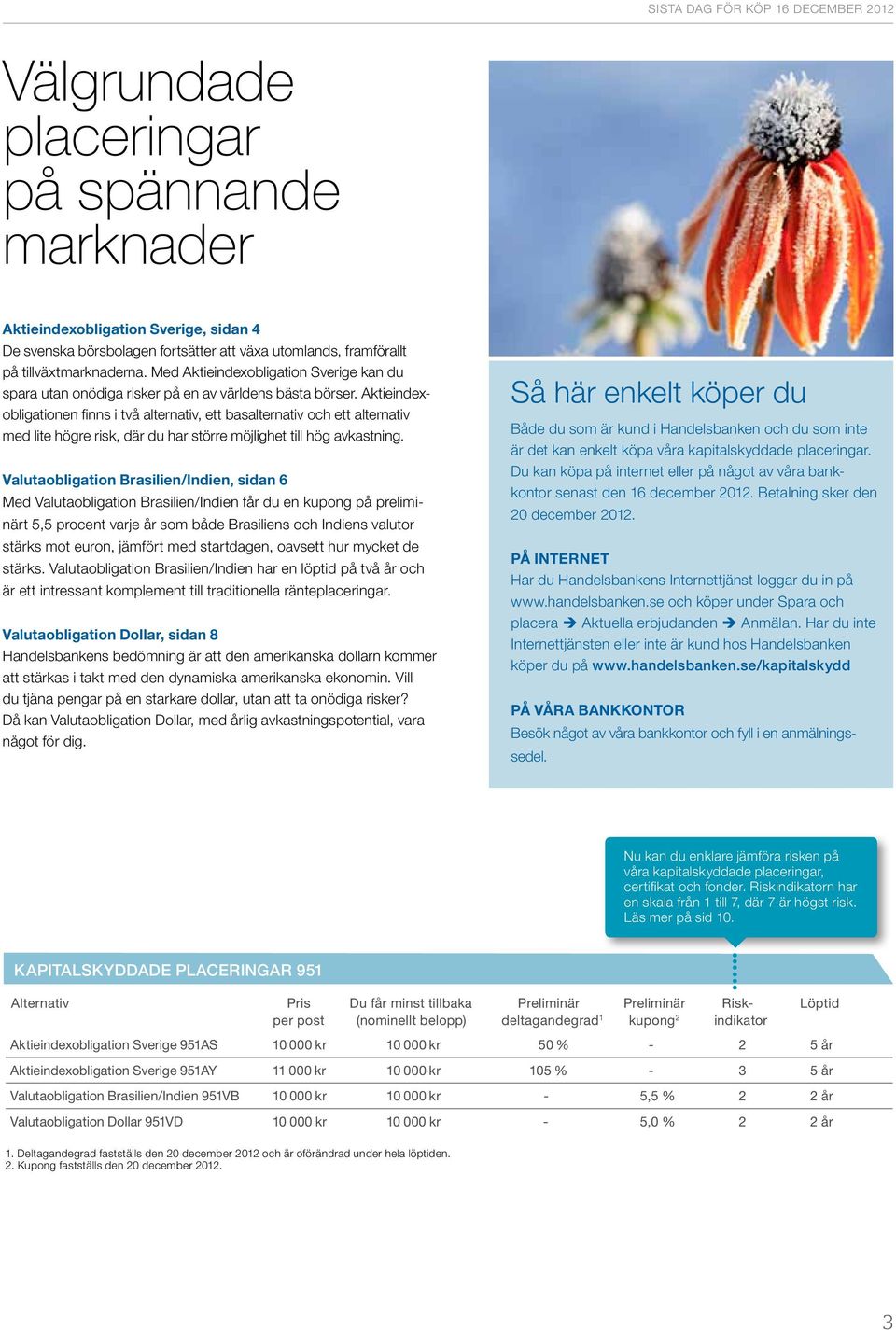 Aktieindexobligationen finns i två alternativ, ett basalternativ och ett alternativ med lite högre risk, där du har större möjlighet till hög avkastning.