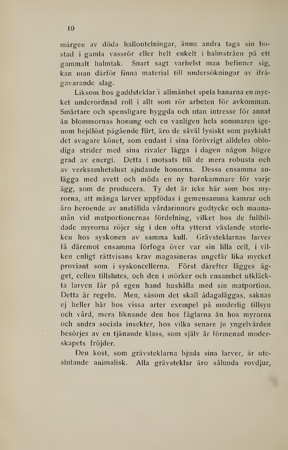 Liksom hos gaddsteklar i allmänhet spela hanarna en mycket underordnad roll i allt som rör arbeten för avkomman.