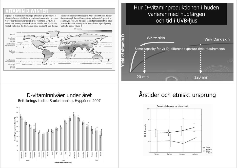 D-vitaminnivåer under året Befolkningsstudie