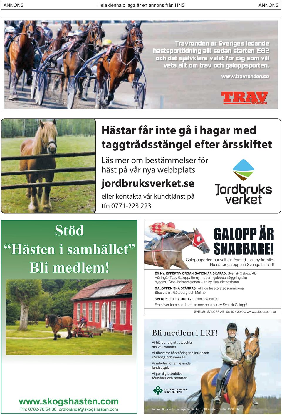 EN NY, EFFEKTIV ORGANISATION ÄR SKAPAD: Svensk Galopp AB. Här ingår Täby Galopp. En ny modern galoppanläggning ska byggas i Stockholms regionen en ny Huvudstadsbana.