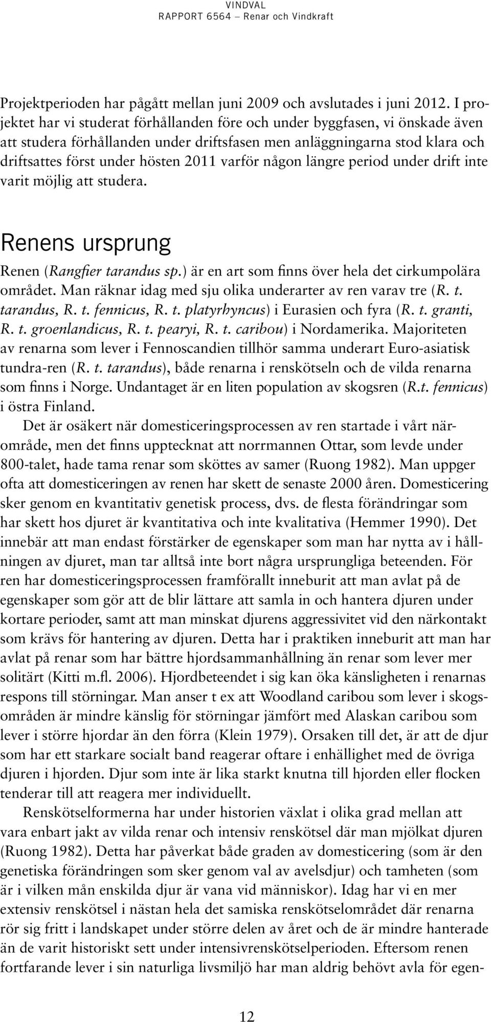 varför någon längre period under drift inte varit möjlig att studera. Renens ursprung Renen (Rangfier tarandus sp.) är en art som finns över hela det cirkumpolära området.