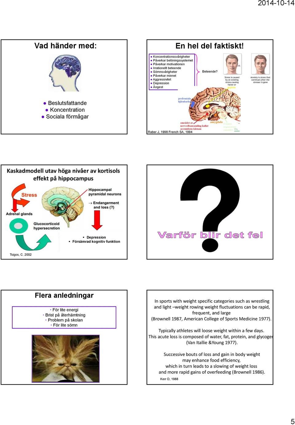 Beslutsfattande Koncentration Sociala förmågar Raber J, 1998 French SA, 1994 Kaskadmodell utav höga nivåer av kortisols effekt på hippocampus Depression Försämrad kognitiv funktion Tsigos, C.