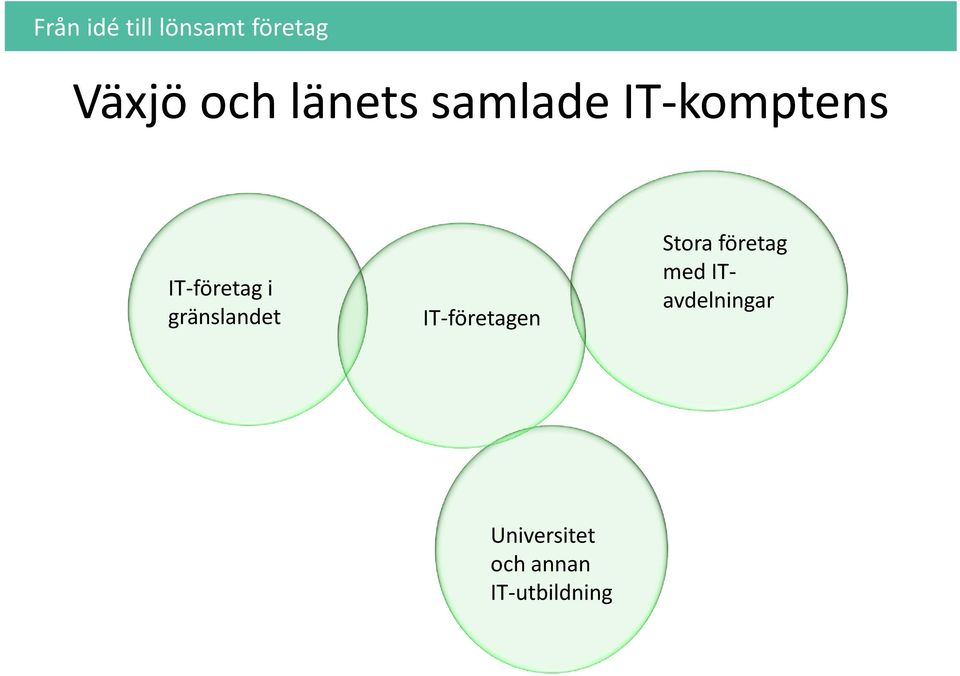 gränslandet IT-företagen Stora