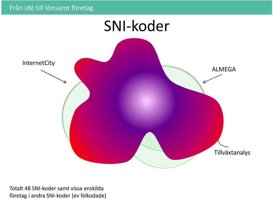 SNI-koder samt vissa enskilda