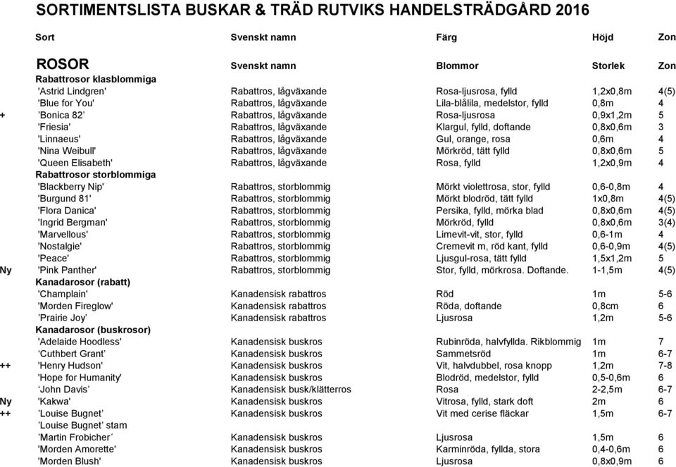 lågväxande Klargul, fylld, doftande 0,8x0,6m 3 'Linnaeus' Rabattros, lågväxande Gul, orange, rosa 0,6m 4 'Nina Weibull' Rabattros, lågväxande Mörkröd, tätt fylld 0,8x0,6m 5 'Queen Elisabeth'