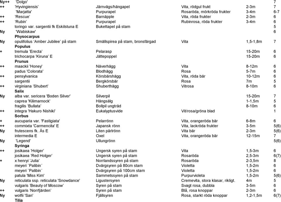 sargentii fk Eskilstuna E Bukettapel på stam 5 Ny 'Wabiskaw' 6 Physocarpus Ny opulifolius Amber Jubilee på stam Smällspirea på stam, bronsfärgad Vita 1,5-1,8m 7 Populus + tremula Erecta Pelarasp