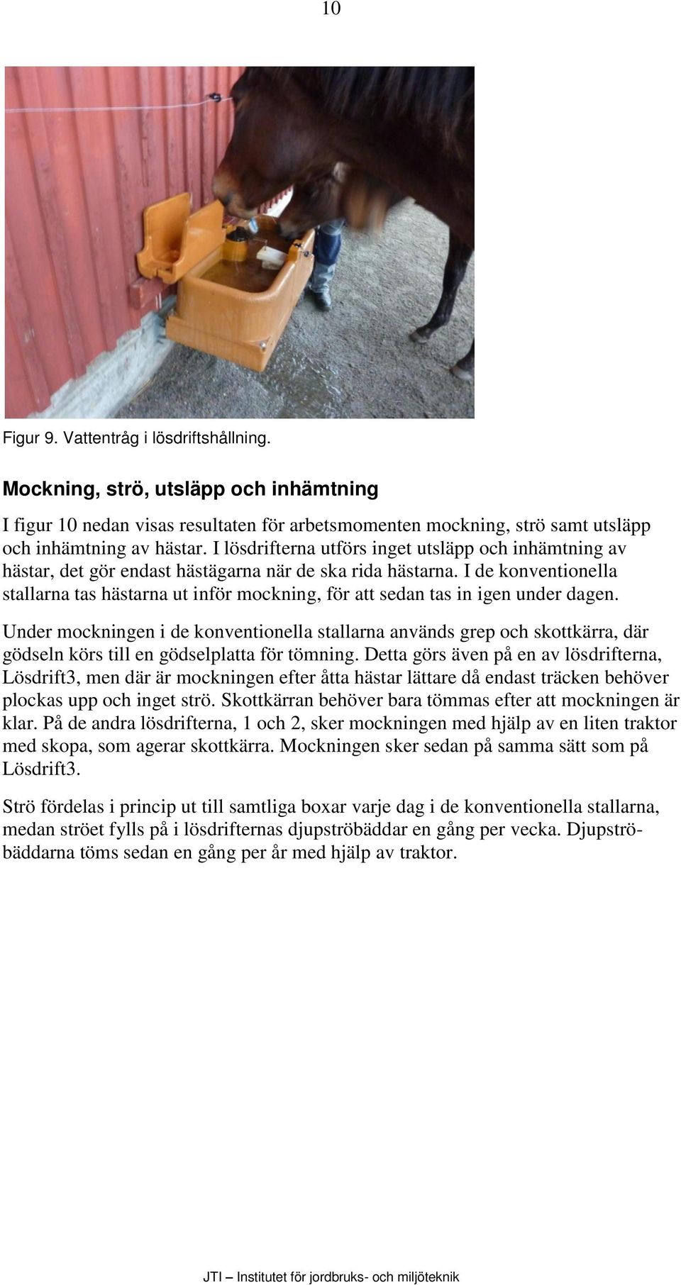 I de konventionella stallarna tas hästarna ut inför mockning, för att sedan tas in igen under dagen.