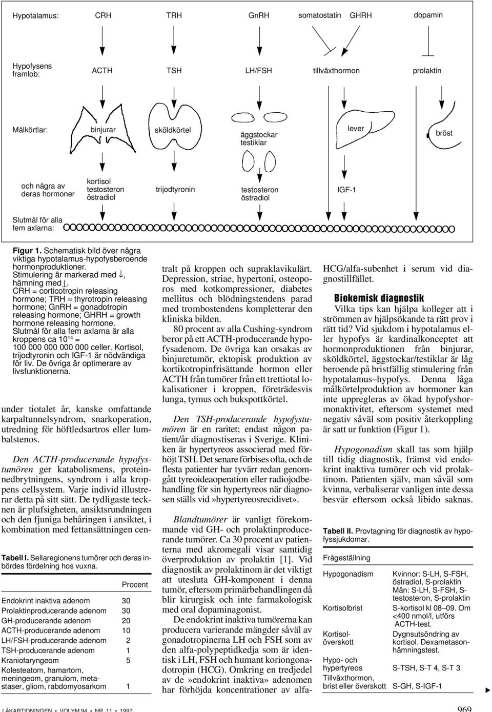 Schematisk bild över några viktiga hypotalamus-hypofysberoende hormonproduktioner. Stimulering är markerad med, hämning med _.