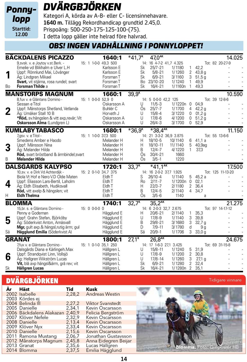 BÄCKDALENS PICAZZO 1640:1 *41,7 K 47,0 AK 14.025 9,svsk. v. e Joytoy v.st.berk. - 15: 1 1-0-0 49,3 500 14: 16 4-7-2 41,7 4.325 Tot: 82 20-27-9 Emelie vd Blikhalm e Ulver L.