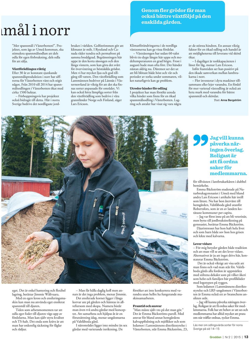 Växtförädlingen viktig Efter 30 år av konstant sjunkande spannmålsproduktion i norr har siffrorna för Västerbotten vänt och stigit något.