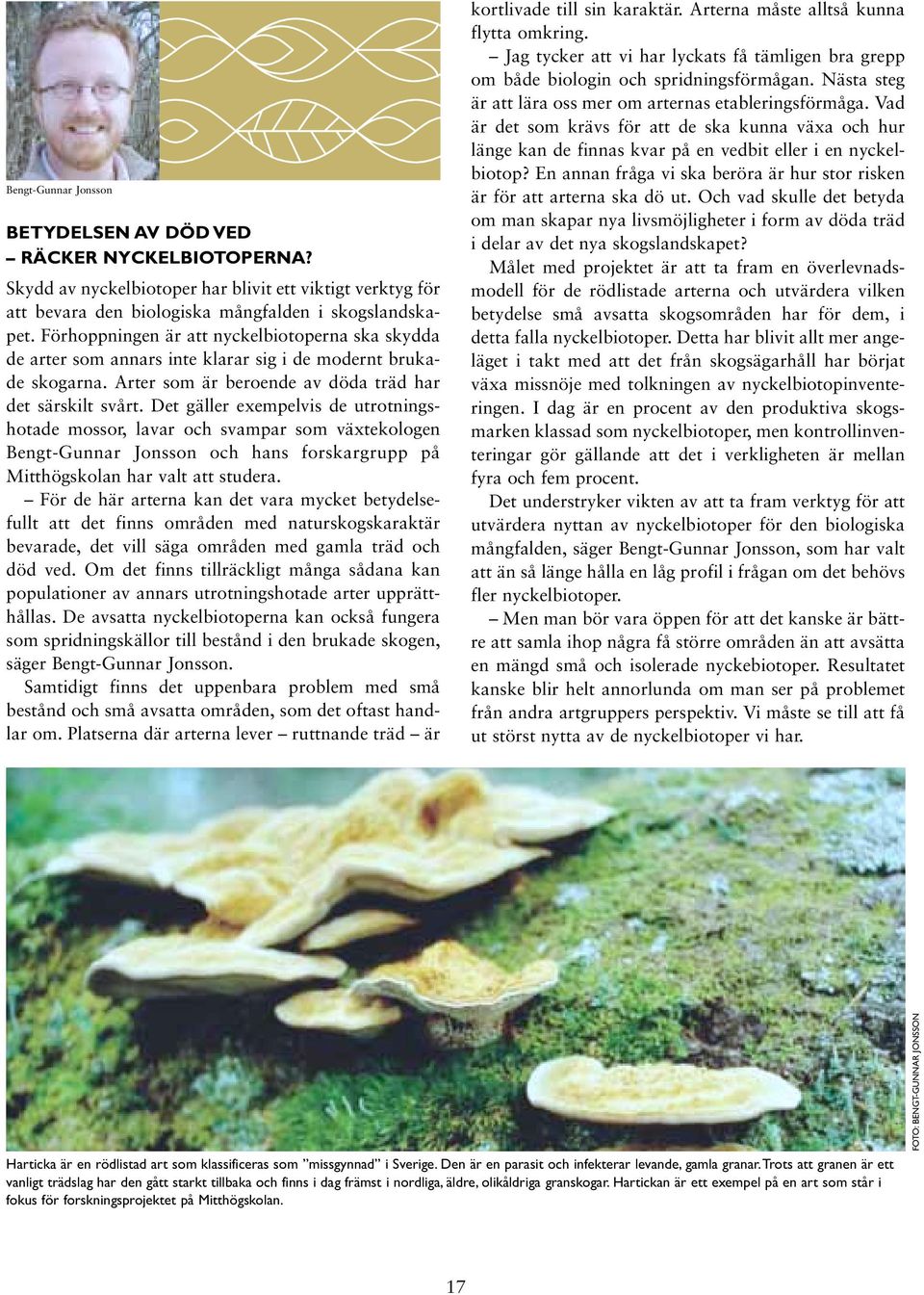Det gäller exempelvis de utrotningshotade mossor, lavar och svampar som växtekologen Bengt-Gunnar Jonsson och hans forskargrupp på Mitthögskolan har valt att studera.