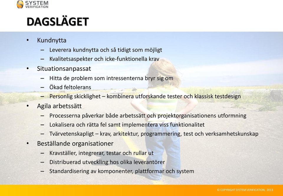 projektorganisationens utformning Lokalisera och rätta fel samt implementera viss funktionalitet Tvärvetenskapligt krav, arkitektur, programmering, test och