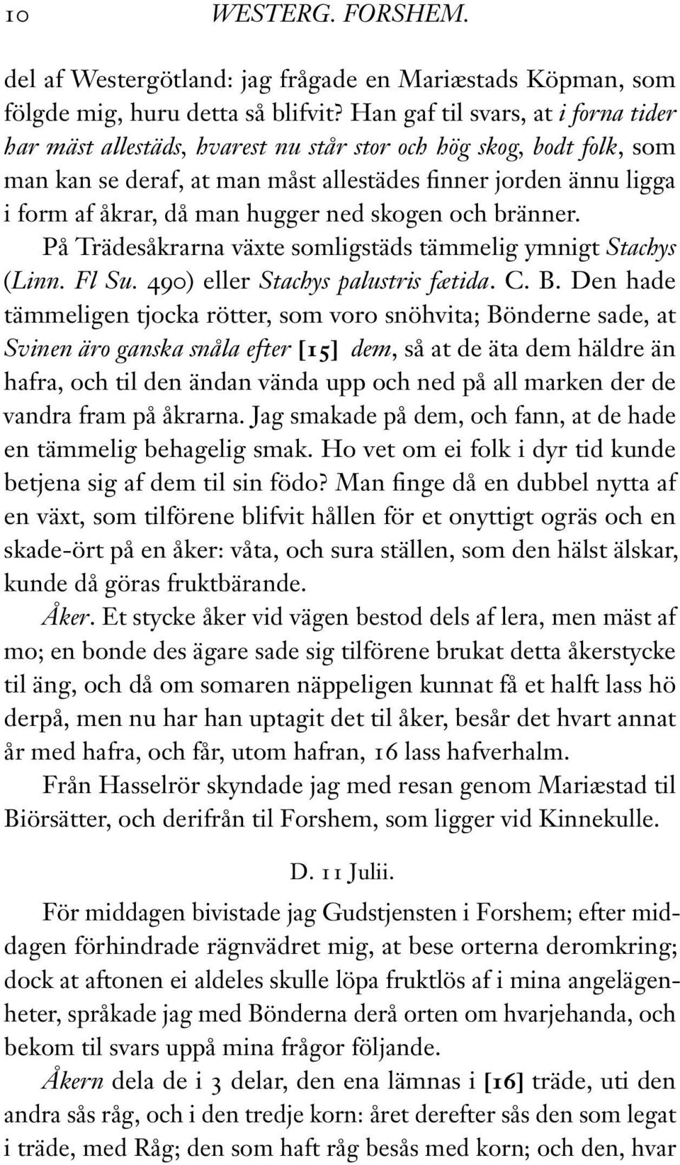 hugger ned skogen och bränner. På Trädesåkrarna växte somligstäds tämmelig ymnigt Stachys (Linn. Fl Su. 490) eller Stachys palustris fætida. C. B.