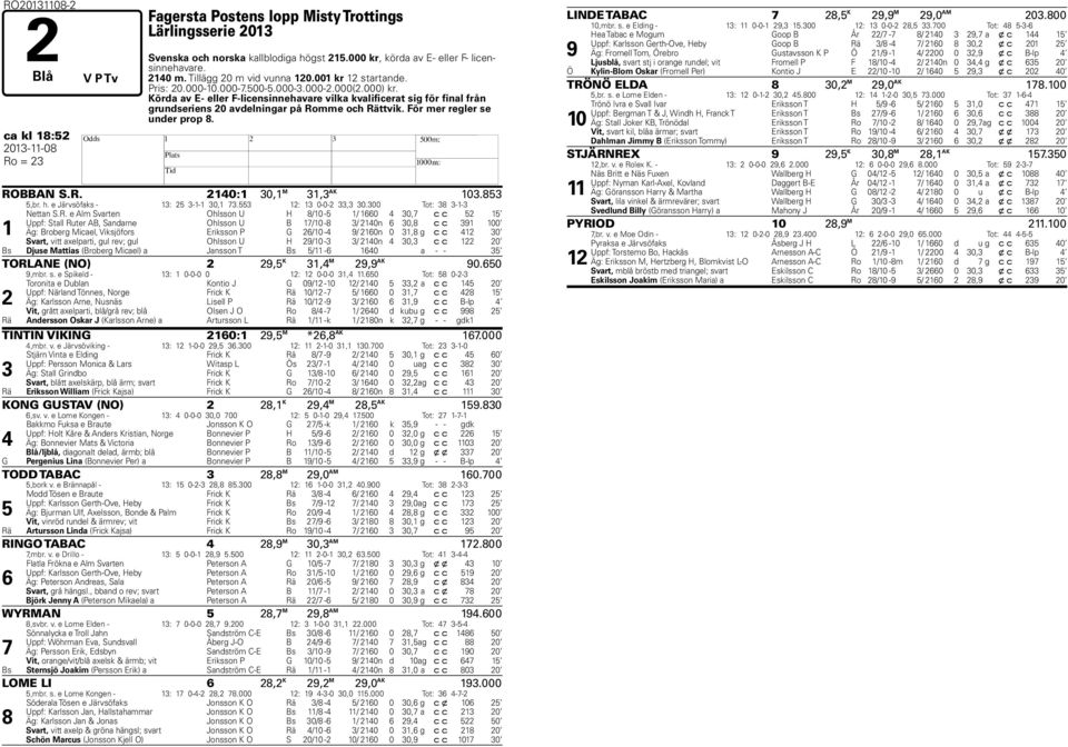 Körda av E- eller F-licensinnehavare vilka kvalificerat sig för final från grundseriens 20 avdelningar på Romme och Rättvik. För mer regler se under prop 8. ca kl 18:52 2013-11-08 H Ro = 23 ROBBAN S.