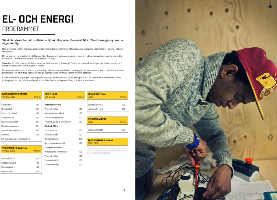 Du lär dig om produktion, installation, distribution och automation av el-, energi- och vattensystem som är viktig för samhället. Du får också en hel del praktisk träning.