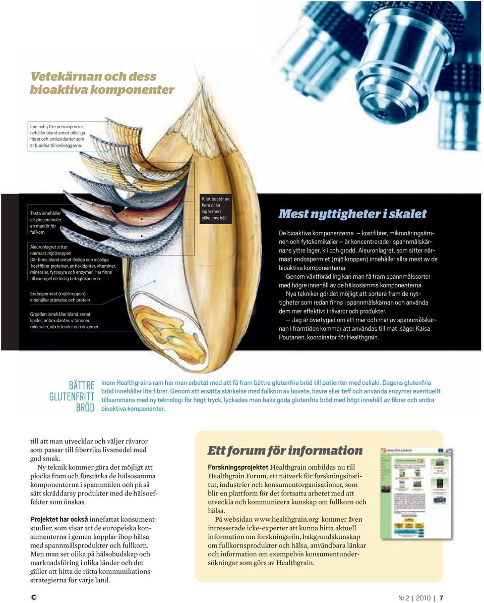 Där finns bland annat lösliga och olösliga kostfibrer proteiner, antioxidanter, vitaminer, mineraler, fytinsyra och enzymer. Här finns till exempel de löslig betaglukanerna.