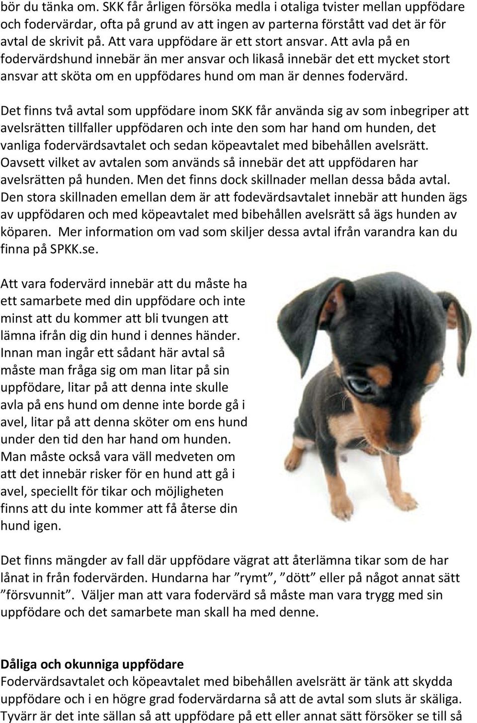 Det finns två avtal som uppfödare inom SKK får använda sig av som inbegriper att avelsrätten tillfaller uppfödaren och inte den som har hand om hunden, det vanliga fodervärdsavtalet och sedan