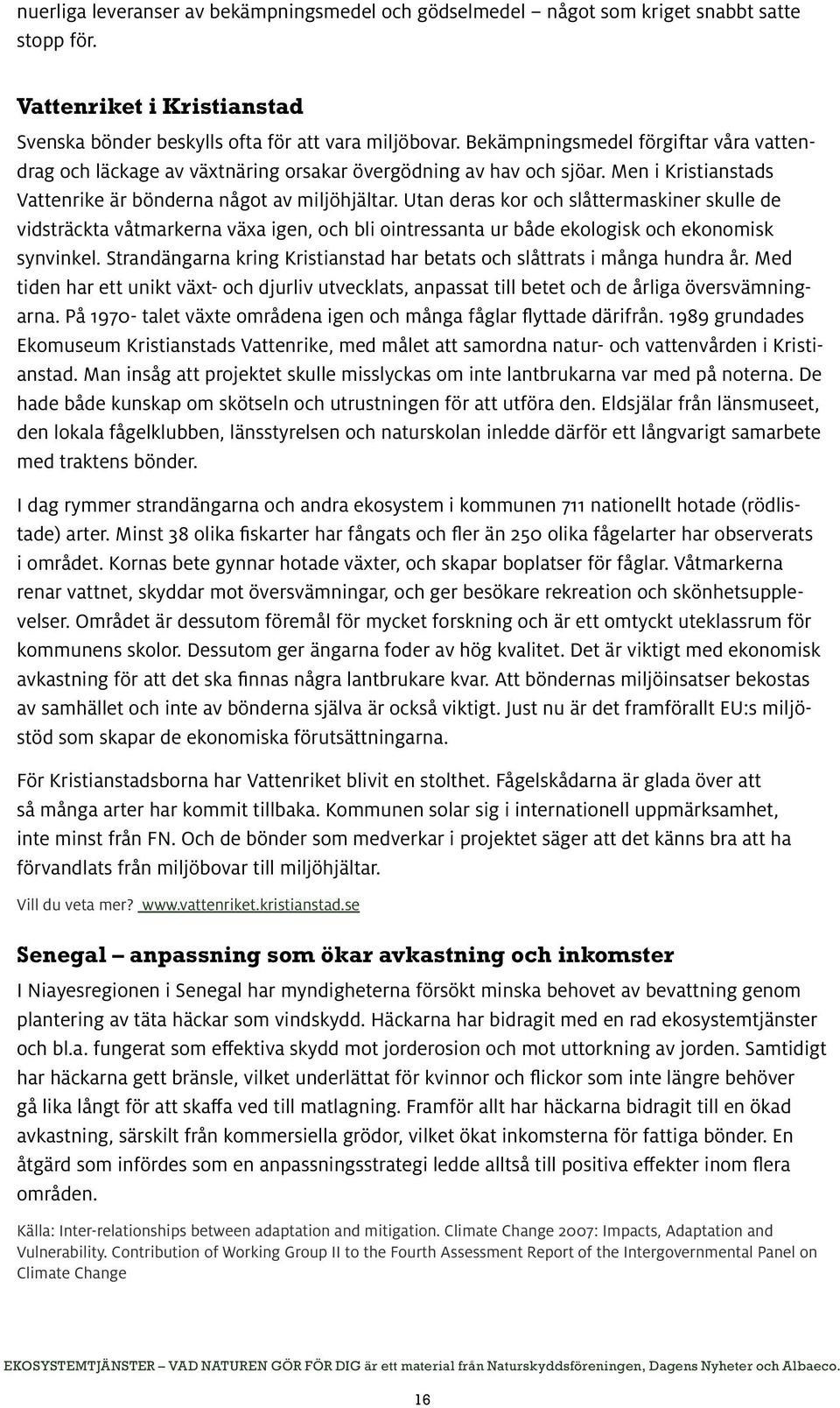 Utan deras kor och slåttermaskiner skulle de vidsträckta våtmarkerna växa igen, och bli ointressanta ur både ekologisk och ekonomisk synvinkel.