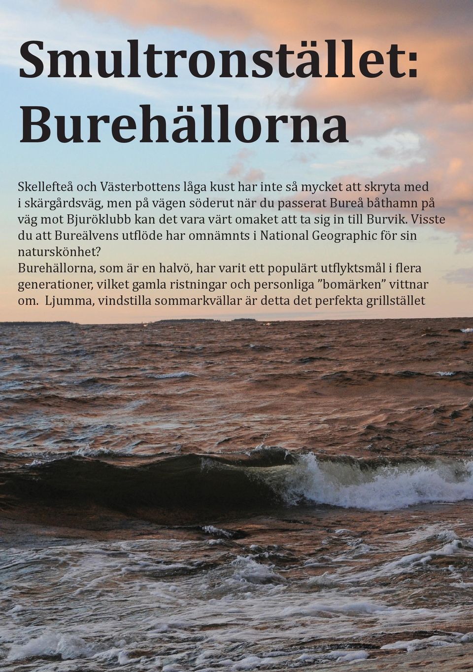 Visste du att Bureälvens utflöde har omnämnts i National Geographic för sin naturskönhet?