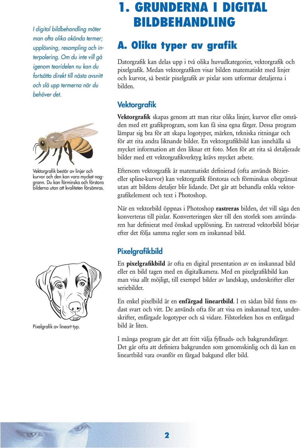 Du kan förminska och förstora bilderna utan att kvaliteten försämras. 1. GRUNDERNA I DIGITAL BILDBEHANDLING A.