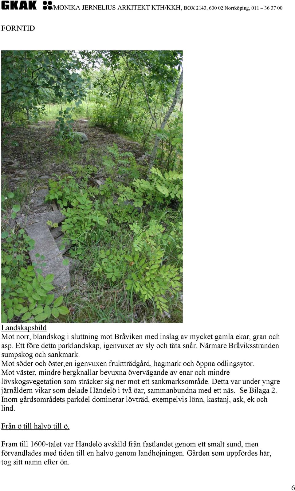 Mot väster, mindre bergknallar bevuxna övervägande av enar och mindre lövskogsvegetation som sträcker sig ner mot ett sankmarksområde.