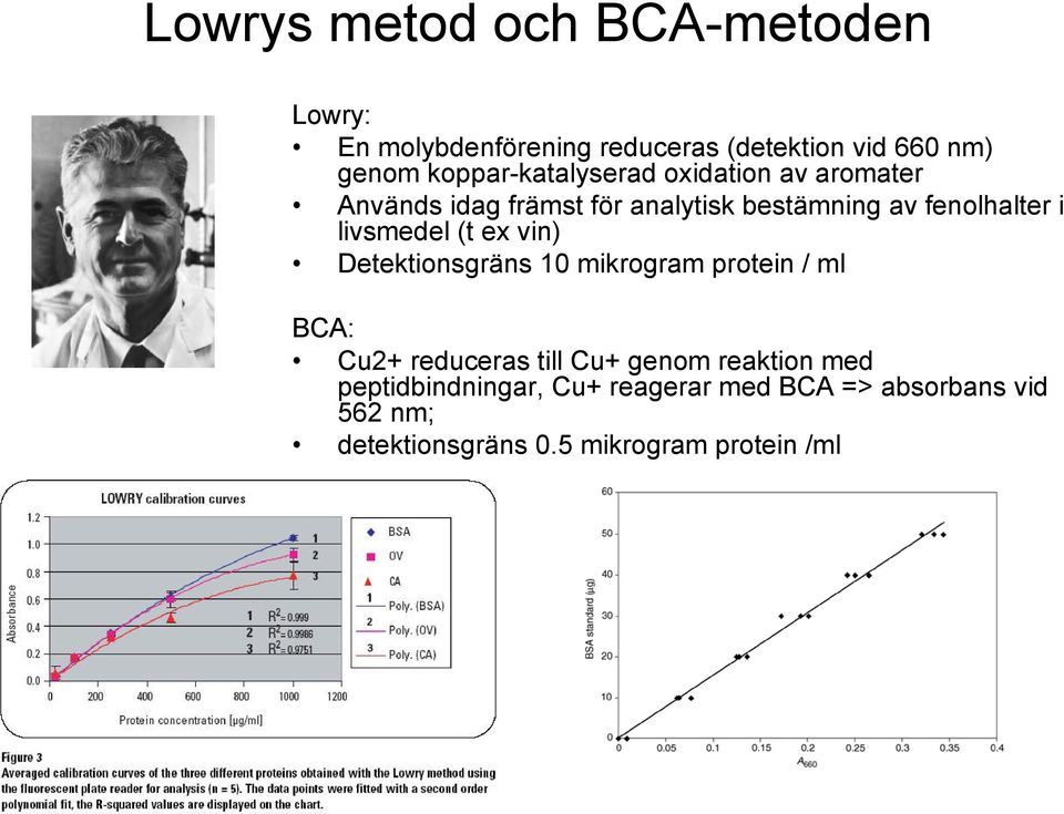 livsmedel (t ex vin) Detektionsgräns 10 mikrogram protein / ml BCA: Cu2+ reduceras till Cu+ genom