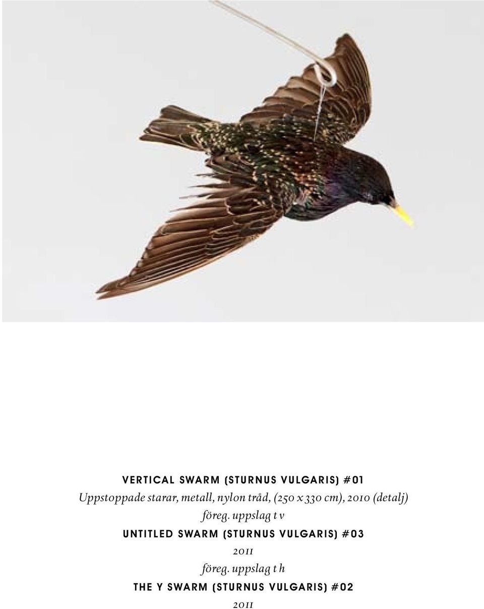 uppslag t v UNTITLED SWARM (STURNUS VULGARIS) #03 2011