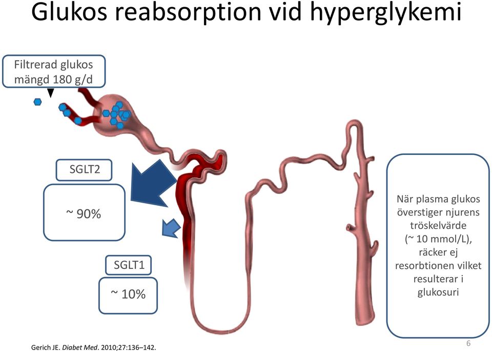 njurens tröskelvärde (~ 10 mmol/l), räcker ej resorbtionen