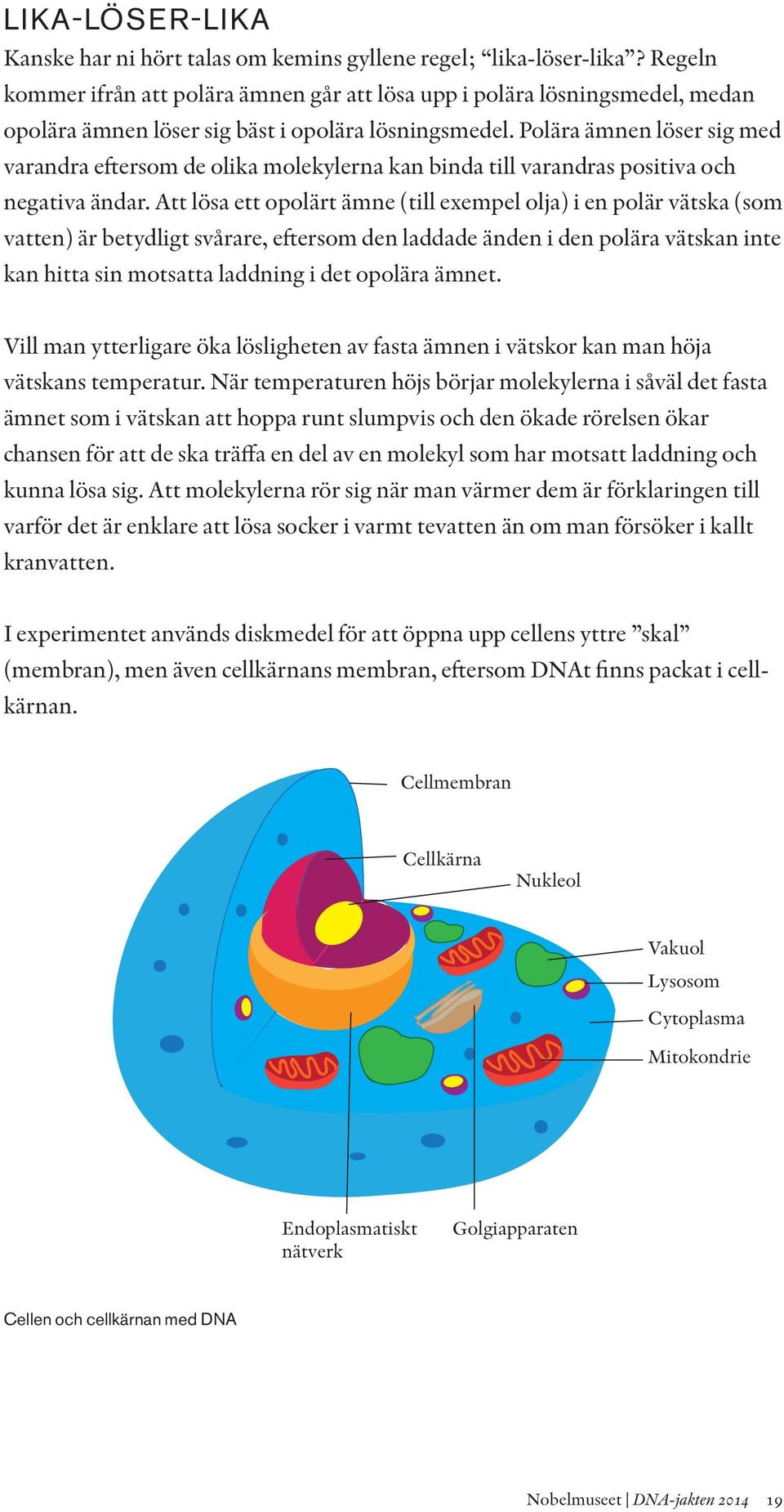 Polära ämnen löser sig med varandra eftersom de olika molekylerna kan binda till varandras positiva och negativa ändar.