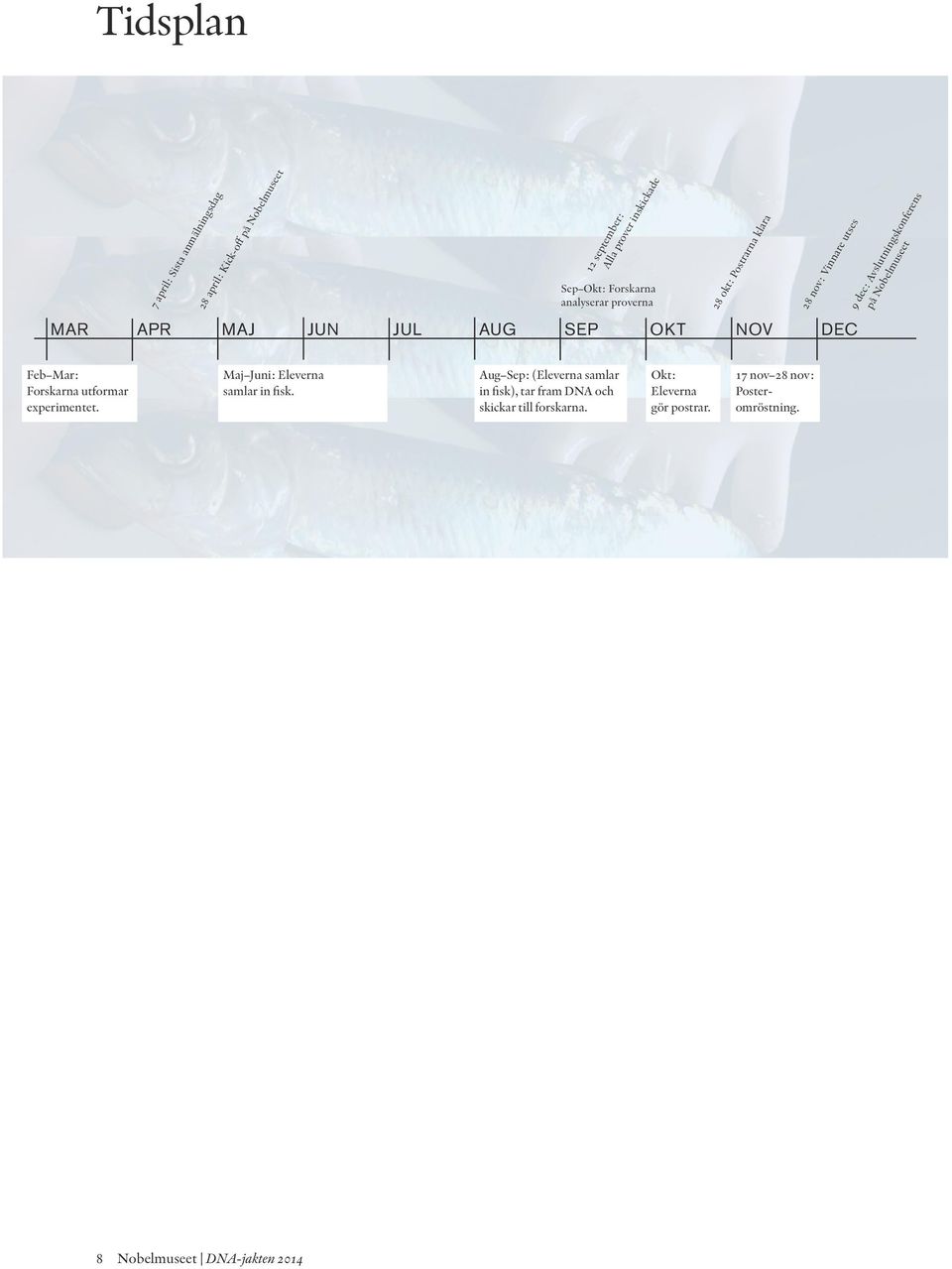 Avslutningskonferens på Nobelmuseet Feb Mar: Forskarna utformar experimentet. Maj Juni: Eleverna samlar in fisk.