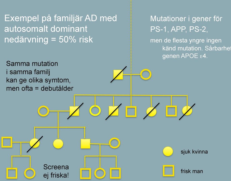 debutålder Mutationer i gener för PS-1, APP, PS-2, men de flesta yngre
