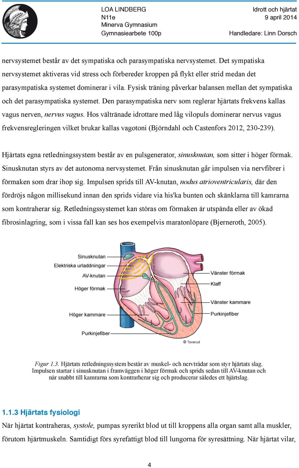 Fysisk träning påverkar balansen mellan det sympatiska och det parasympatiska systemet. Den parasympatiska nerv som reglerar hjärtats frekvens kallas vagus nerven, nervus vagus.