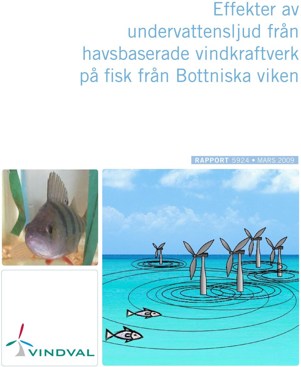 havsbaserade vindkraftverk