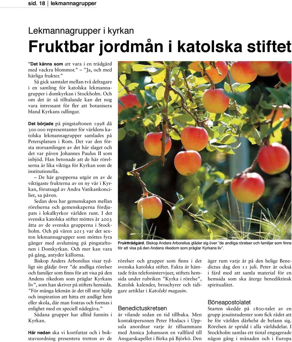 Och om det är så tilltalande kan det nog vara intressant för fler att botanisera bland Kyrkans odlingar.