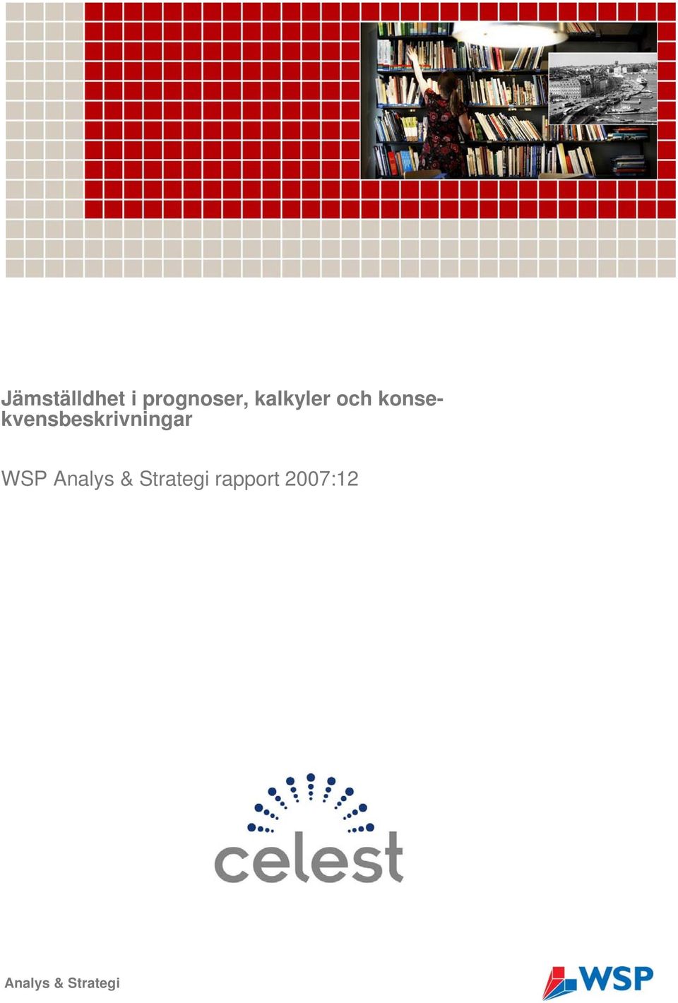 konsekvensbeskrivningar WSP