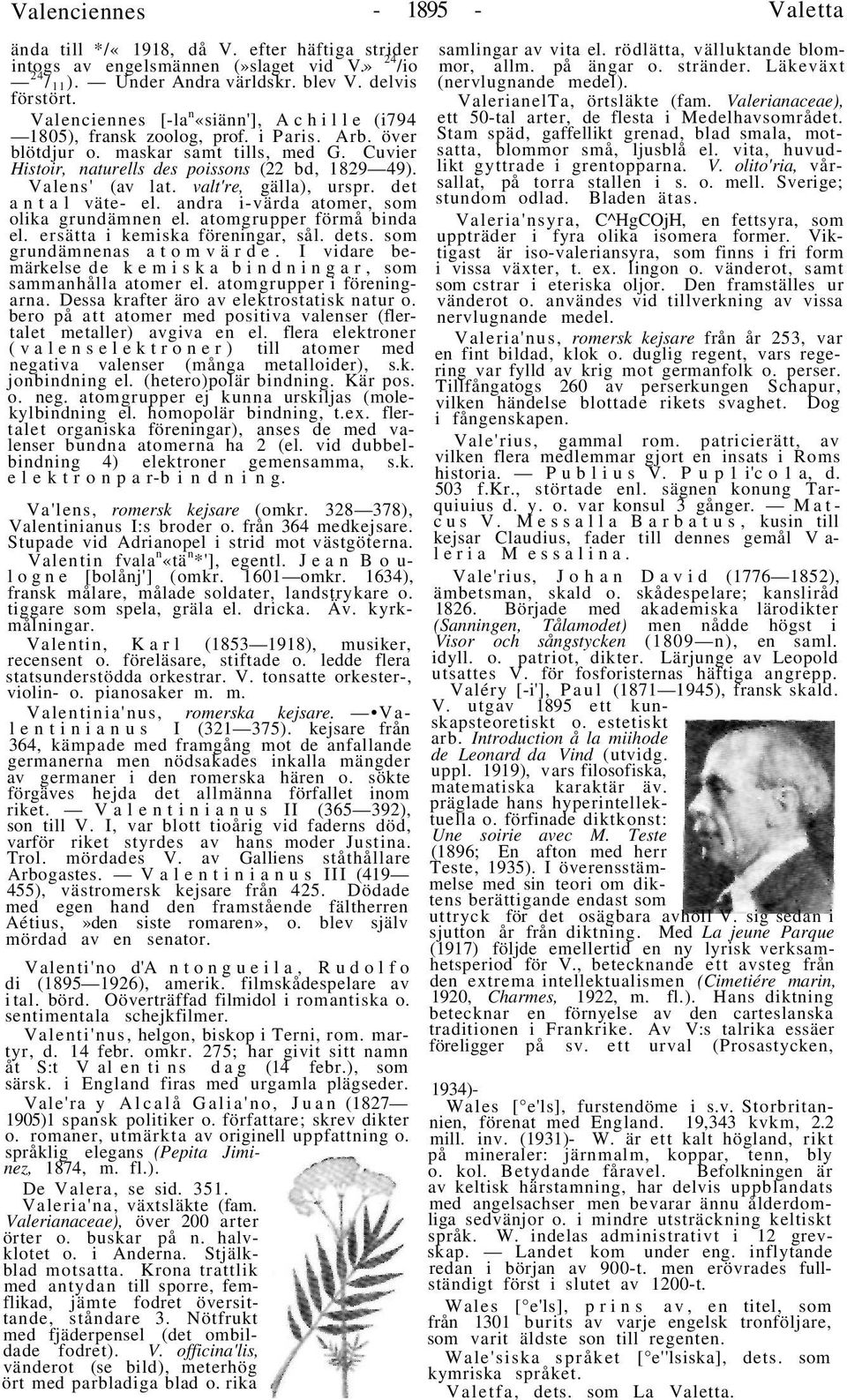 Valens' (av lat. valt're, gälla), urspr. det antal väte- el. andra i-värda atomer, som olika grundämnen el. atomgrupper förmå binda el. ersätta i kemiska föreningar, sål. dets.