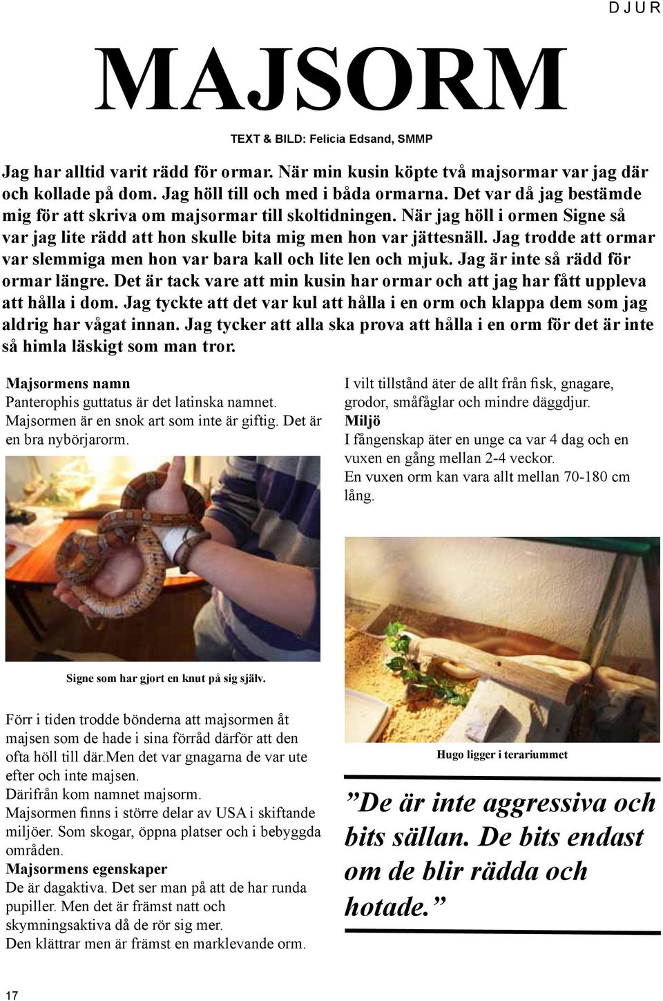 Jag trodde att ormar var slemmiga men hon var bara kall och lite len och mjuk. Jag är inte så rädd för ormar längre.