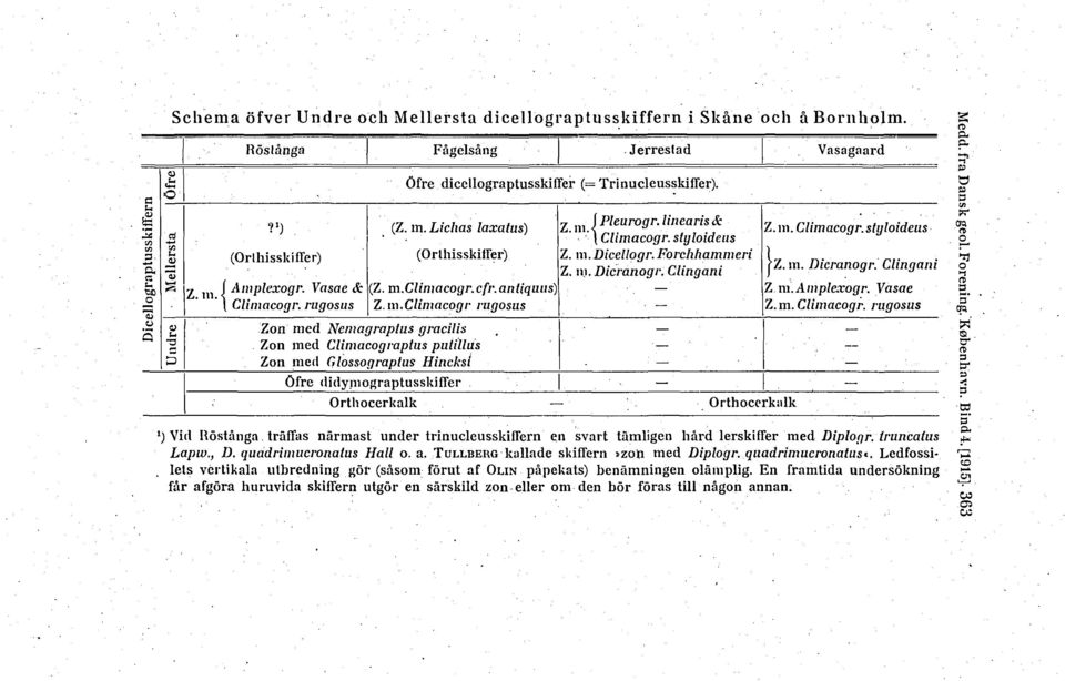 m. Climacogr. stgloideus ' [Climacogr. sty loideus Z. m. Dicellogr. Forchhammeri fz. m. Dicranogr Clingani Z.m. Dicranogr.Clingani Z m. A mplexogr. Vasae Z. m. Climacogr. rugosus Zon med Nemagraptus gracilis Zon med Climacograptus putillus Zon med Glossograptus Hincksi Ofre didymograptusskiffer Orthocerkalk Orthocerkalk ') Vid Rostånga.