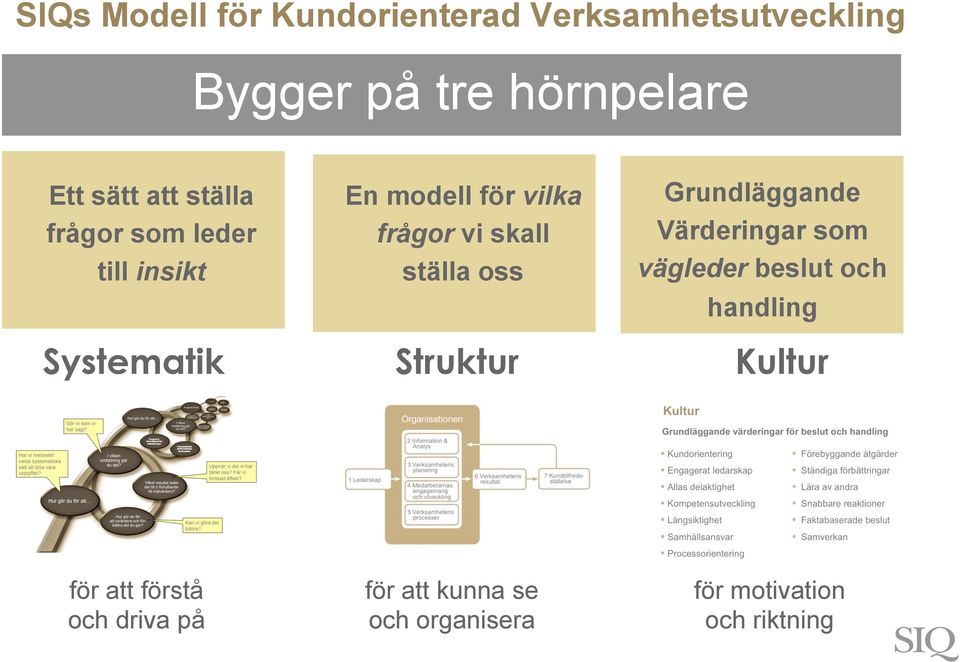 Grundläggande Värderingar som vägleder beslut och handling Systematik Struktur Kultur