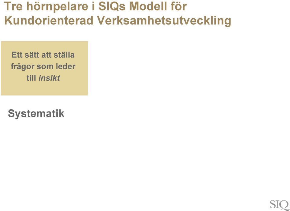 Verksamhetsutveckling Ett sätt