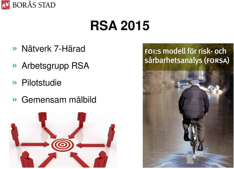 Arbetsgrupp RSA