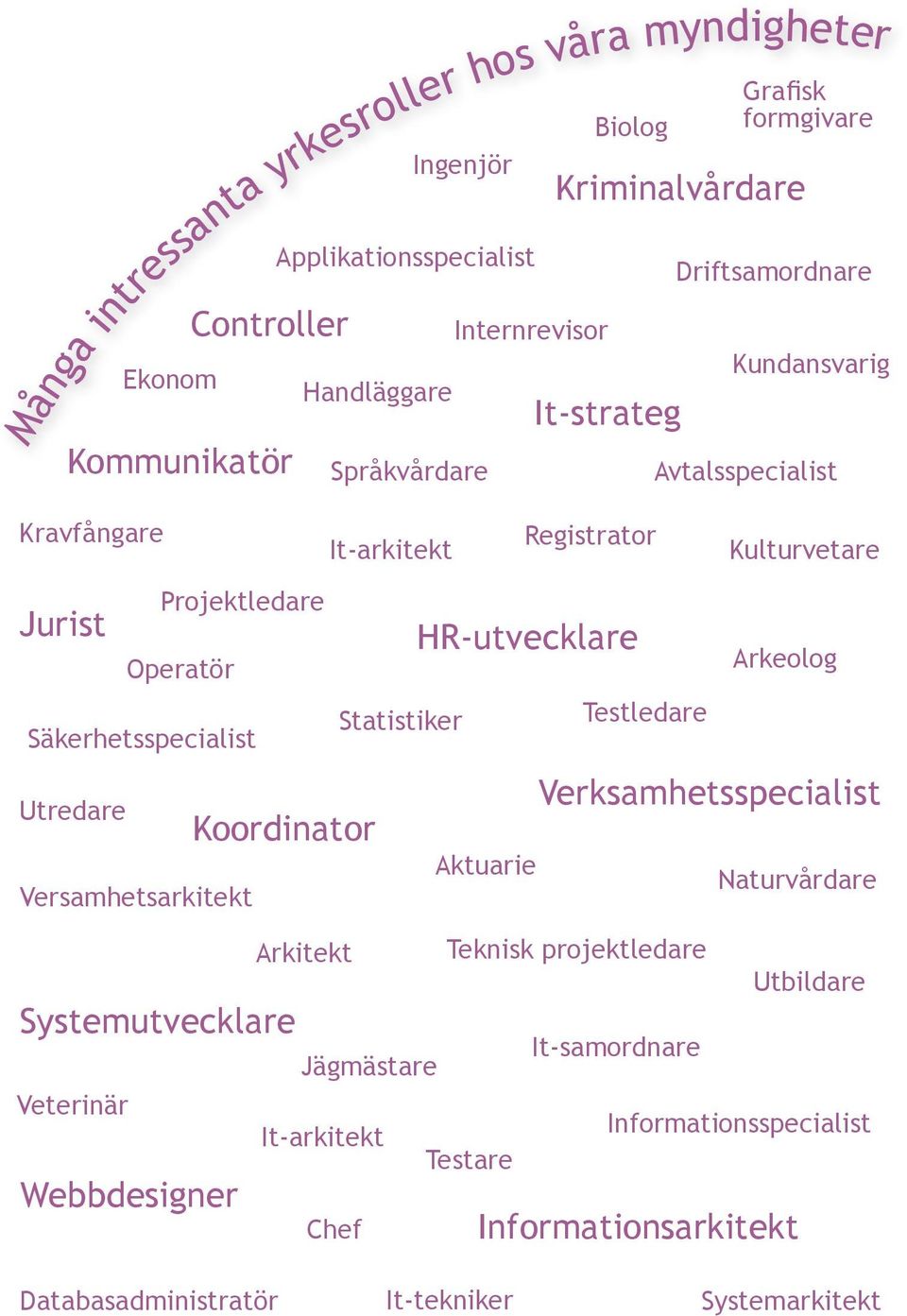 HR-utvecklare Statistiker Testledare Säkerhetsspecialist Utredare Versamhetsarkitekt Systemutvecklare Veterinär Webbdesigner Koordinator Arkeolog Verksamhetsspecialist