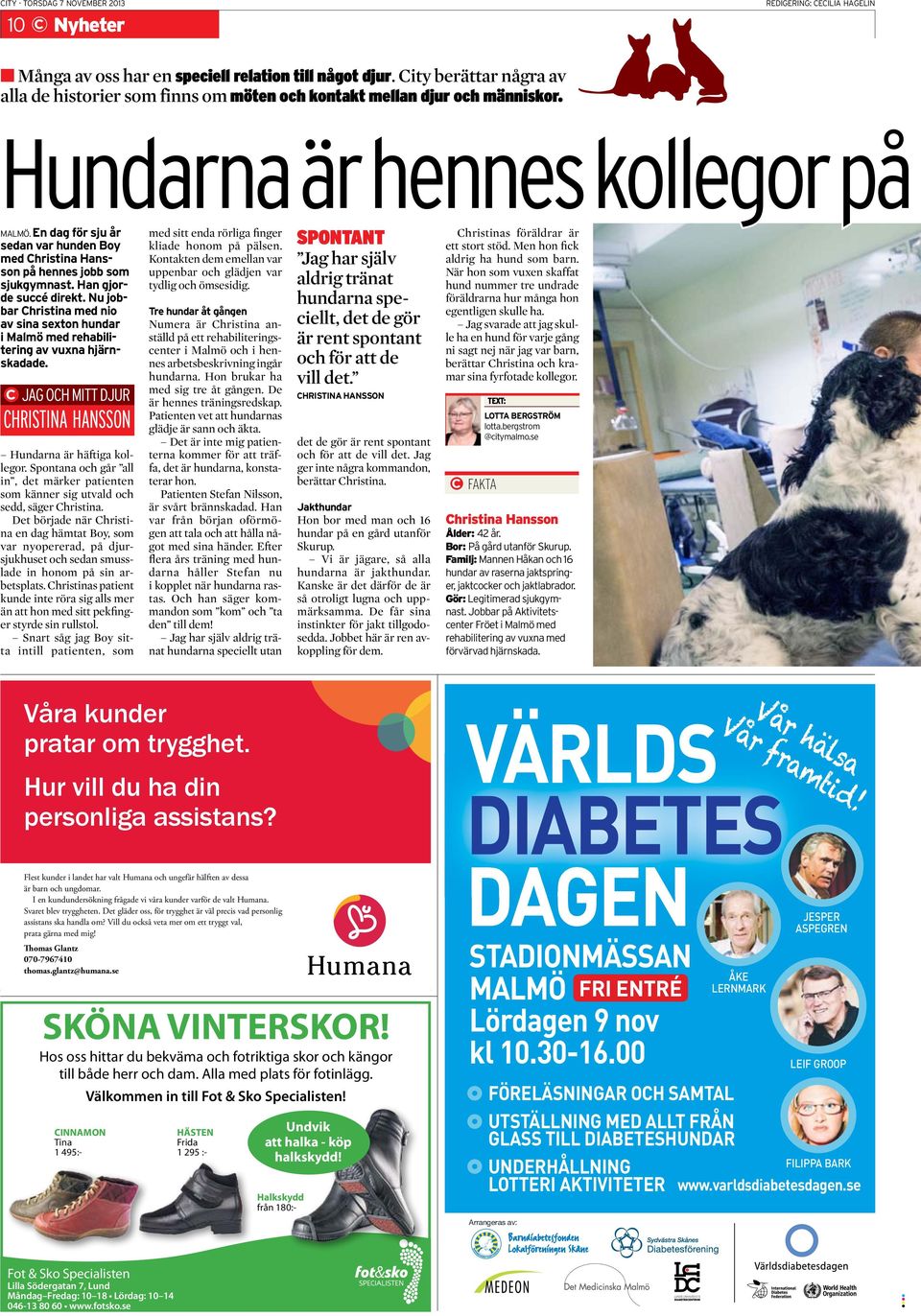Han gjorde succé direkt. Nu jobbar Christina med nio av sina sexton hundar i Malmö med rehabilitering av vuxna hjärnskadade. JAG OCH MITT DJUR CHRISTINA HANSSON Hundarna är häftiga kollegor.